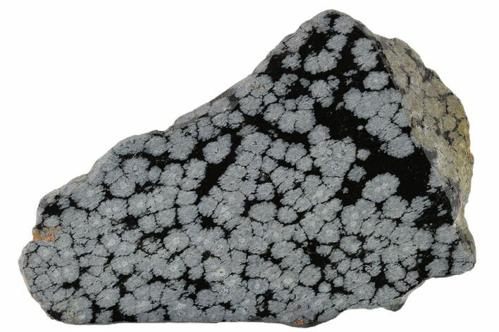 Polished Snowflake Obsidian Section - Utah #117770